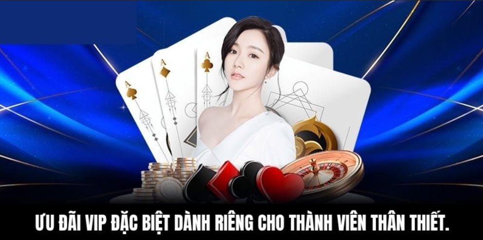 Ưu đãi VIP đặc biệt được thiết dành riêng cho hội viên thân thiết.
